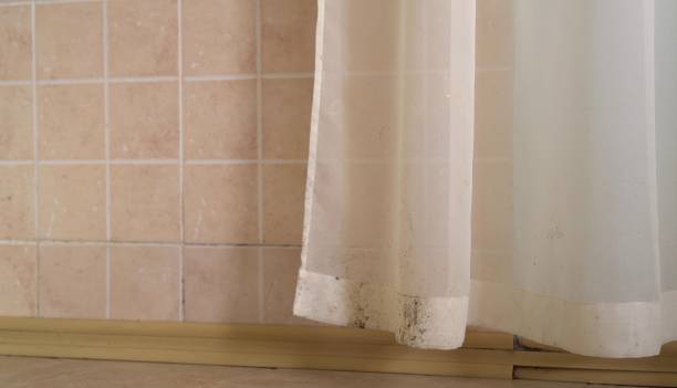 Best Real Estate Mold Inspection  in Bell Acres, PA