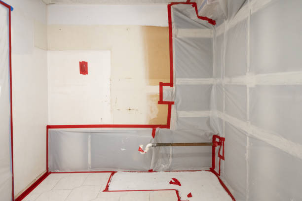 Best Mold-Related Health Consultation  in Bell Acres, PA
