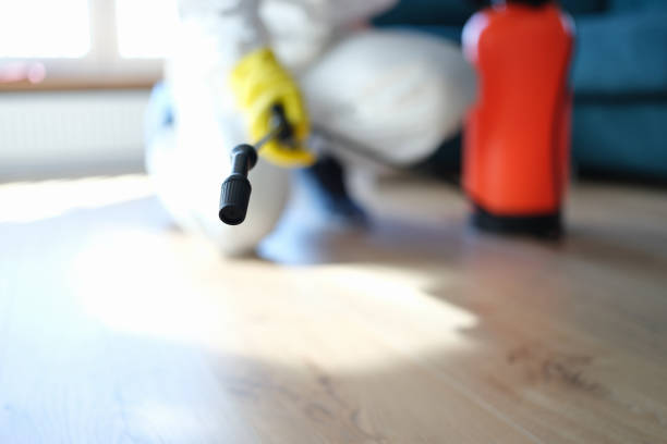 Best Industrial Mold Remediation  in Bell Acres, PA