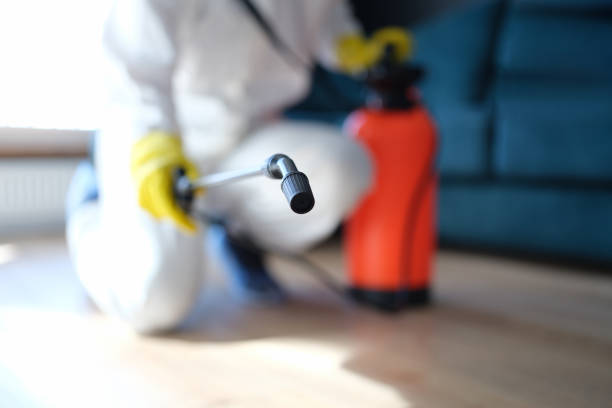  Bell Acres, PA Mold Removal Pros